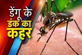 dengue in delhi