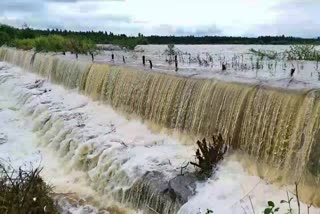 highest-rainfall-record-in-channagiri