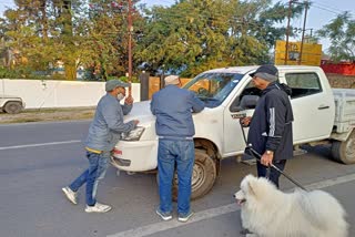 License mandatory for pet dogs