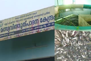 Fish Seed Production Center  Keerampara panchayath  feedmill  Hatchery  കൂരികുളം മത്സ്യ വിത്തുത്പാദന കേന്ദ്രം  കീരംപാറ പഞ്ചായത്ത്  ഹാച്ചറി  ഫീഡ്‌മില്ല്