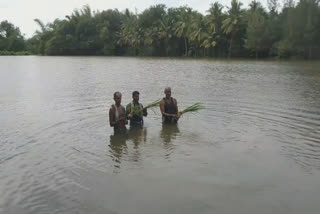 நெற்பயிர்கள் தண்ணீரில் மூழ்கி நாசம்