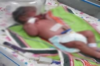 Newborn found in the fields in Karnal
