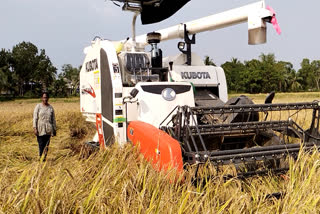 Shini Vinod  Jobs in the agricultural sector  Paddy fields in Kerala  ഷിനി വിനോദ് കരുമാലൂർ  കൊയ്ത്ത് യന്ത്രം പ്രവര്‍ത്തിപ്പിക്കുന്ന വനിത  കേളക്കരി പാടശേഖരം വാര്‍ത്ത  സ്ത്രീ ശാസ്തീകരണം  കാര്‍ഷിക മേഖലയിലെ ജോലിട  മരട് കാര്‍ഷിക ഗവേഷണ കേന്ദ്രം  നെല്‍പ്പാടങ്ങള്‍  Lady Harvesting machine operator  Agricultural research institute