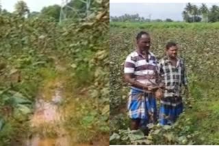 Kallakurichi Farmers