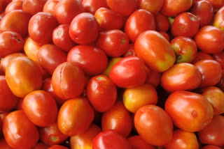 tomato price continuous increasing in delhi