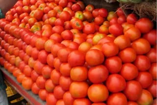 Tomato Prices Today