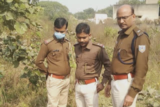 severed head of a woman recovered