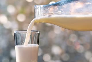 milk, milk consumption, how is milk consumption good for health, milk benefits, milk for health, health, benefits of milk, how milk prevents diseases, can milk consumption prevent chronic diseases, university of reading, university of south Australia, nutrition, nutrients, calcium,  प्रतिदिन दूध पीने से दिल की बीमारियों का खतरा कम, heart health, cardiovascular diseases, cvd