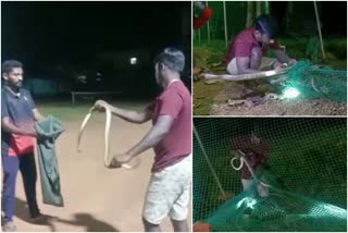 snake rescued by experts at tumkur