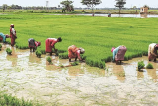 farm laws repeal proposal accepted in union cabinet meeting
