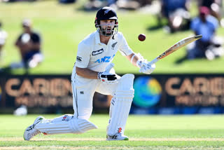 kane williamson