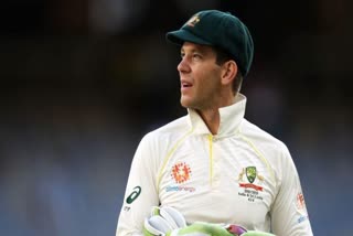 Cricket Tasmania appalled by treatment meted out to Tim Paine
