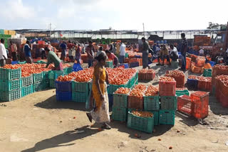 రూ.100 దాటి పరిగెడుతున్న.. టమాటా ధర!