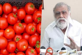 TN govt control tomato price