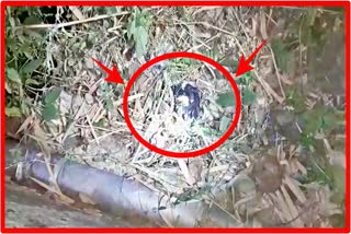 Bomb recovered at Laxmipur in cachar district