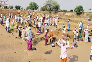 mgnrega