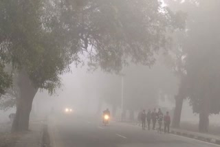 Haryana Weather Update