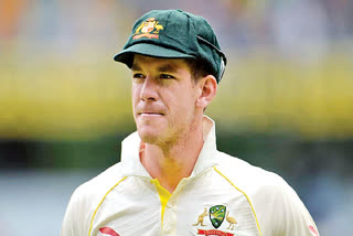 tim paine