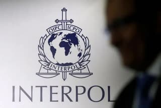 praveen sinha, interpol