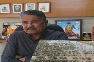 રાજ્ય સરકાર કૃષિ રાહત પેકેજ 2ની કરશે જાહેરાત;  માવઠામાં કોઈ નુકશાની નહીં : Agriculture Minister Raghavji Patel