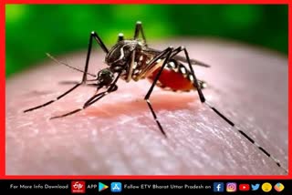 यूपी में अब फतेहपुर भी zika virus की गिरफ्त में.