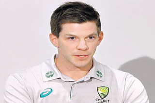 tim paine