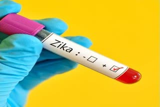 Zika virus in Kozhikode  കോ​ഴിക്കോ​ട് സിക വൈറസ്
