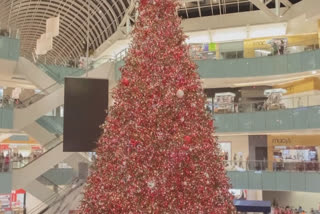 Dallas mall sets up indoor Christmas tree