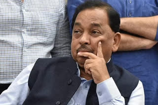 Narayan Rane