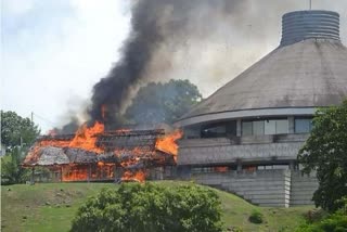 solomon island violence