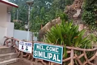 Tiger Census in Similipal: ଡିଜିଟାଇଲାଜେସନରେ ହେଉଛି ବାଘ ଗଣନା