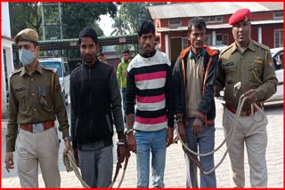 17-livestock-smuggler-arrested-in-dhubri