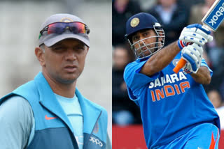 rahul dravid, dhoni