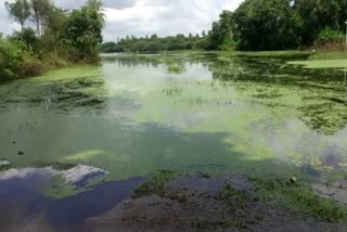 fluoride found in lakes of doddaballapur