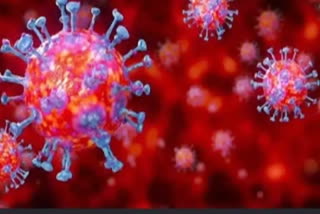 کوروناوائرس کے سبب کشمیر میں 3جموں میں ایک شخص کی موت