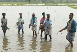 வேதனை தெரிவிக்கும் விவசாயிகள்