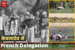 French delegation in Keoladeo National Park