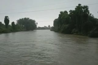 Chengalpattu Flood