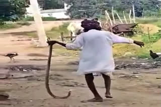 old man holding a snake etv bharat