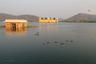 Water Pollution In Jal mahal: ਮਾਨਸਾਗਰ ਝੀਲ ਨੂੰ ਫੈਕਟਰੀਆਂ ਤੇ ਸੀਵਰੇਜ ਦੇ ਪਾਣੀ ਨੇ ਕੀਤਾ ਪ੍ਰਦੂਸ਼ਿਤ, ਸੈਲਾਨੀਆਂ ’ਚ ਭਾਰੀ ਨਿਰਾਸ਼ਾ