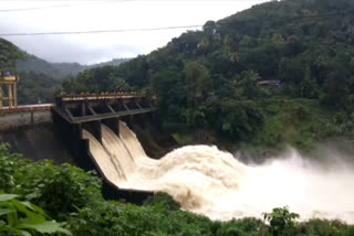 water level rising in idukki dams  kerala govt to conduct study on dams  ഡാം കേരള സർക്കാർ പഠനം  ഇടുക്കി മഴ റവന്യൂ സംഘം റിപ്പോര്‍ട്ട്