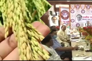 Paddy purchased in Chhattisgarh