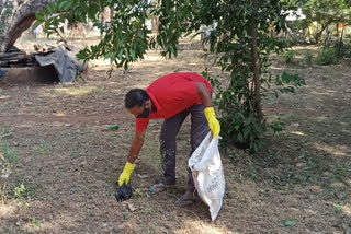 Bird flu outbreak in Agar Malwa