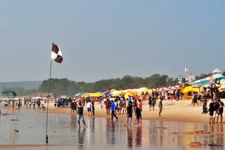 tourists in goa etv bharat