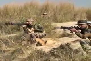 Counter-terrorism units of Indian Army get the Belgian Malinois specialised attack