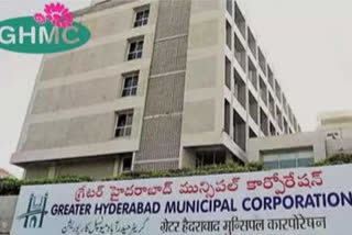 Ghmc on mosquitoes