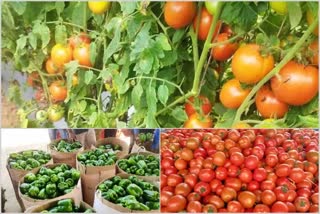 Vegetable  price  in Bangalore