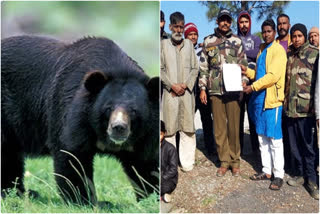 Bear terror in Srinagar