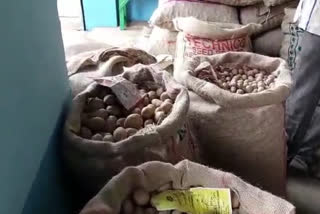 Potato Cultivation