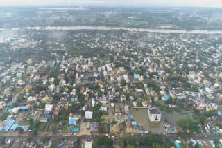 பருந்து பார்வை